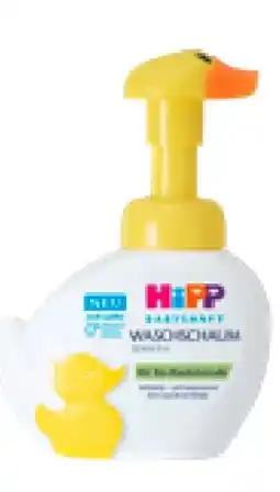 dm Hipp Baby Waschschaum sensitiv Angebot