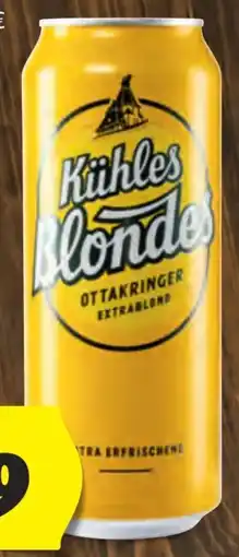 Hofer Ottakringer Kühles Blondes Extrablond Angebot