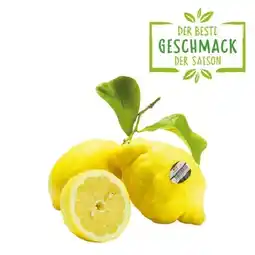 Spar spritzige Zitrone mit Blatt SPAR Angebot