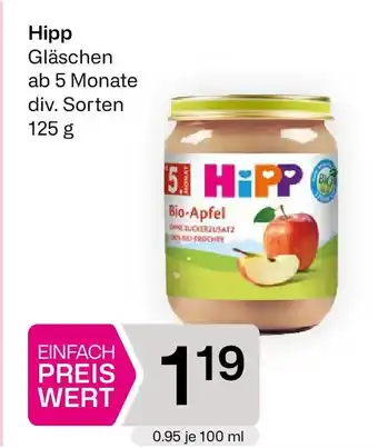 Bipa Hipp bio gläschen Angebot