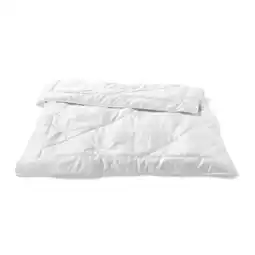 Reiter Kamelhaardecke Lara F2621501 1 Stück Rabatt exklusiv für Vorteilskund*innen Betten Reiter Angebot
