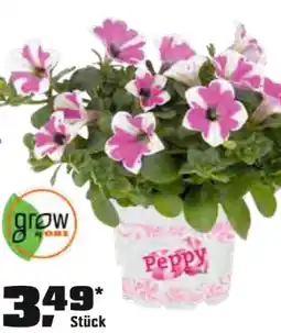 OBI Grow by Obi Hängende Petunie Angebot