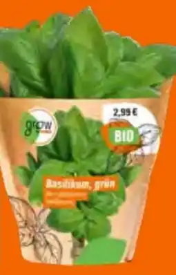 OBI Grow by Obi Bio Kräuter Angebot