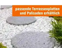 OBI Naturstein-Trittstein Sino Angebot