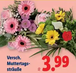 Lidl Versch. Muttertags- sträuße Angebot