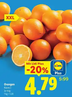 Lidl Orangen Angebot
