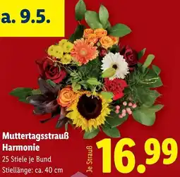 Lidl Muttertagsstrauß Harmonie Angebot