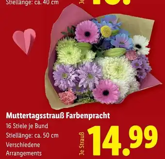 Lidl Muttertagsstrauß Farbenpracht Angebot