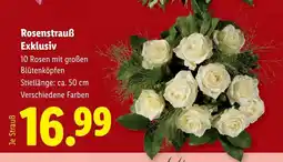Lidl Rosenstrauß Exklusiv Angebot
