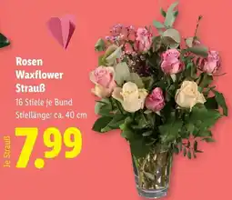 Lidl Rosen Waxflower Strauß Angebot