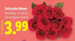 Lidl Fairtrade Rosen Angebot