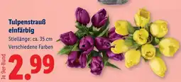 Lidl Tulpenstrauß einfärbig Angebot