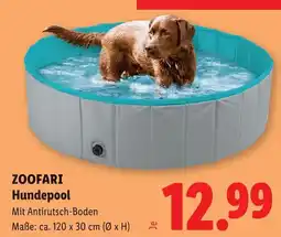 Lidl Zoofari Hundepool Angebot