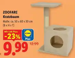 Lidl Zoofari Kratzbaum Angebot
