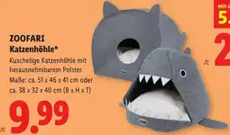 Lidl Zoofari katzenhöhle Angebot