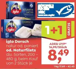 ADEG Iglo Dorsch Angebot
