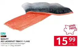 Transgourmet Quality asc lachsfilet trim d Angebot