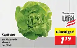 Nah&Frisch Kopfsalat Angebot