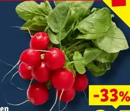 Lidl Radieschen Angebot