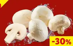 Lidl Champignons Angebot