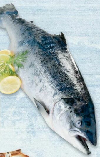 Metro Lachs Angebot