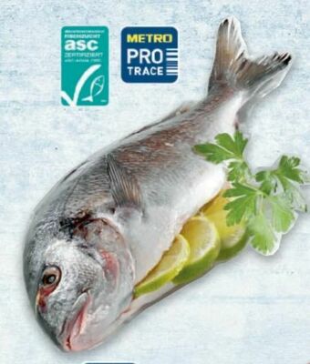 Metro Goldbrasse Angebot