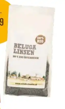 Martin Reformstark Bio beluga linsen Angebot