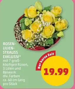 PENNY Rosen- lilien- strauss exklusiv Angebot