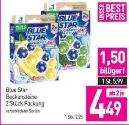 Sutterlüty Blue Star Beckensteine Angebot