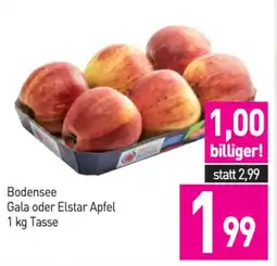 Sutterlüty Bodensee Gala oder Elstar Apfel Angebot