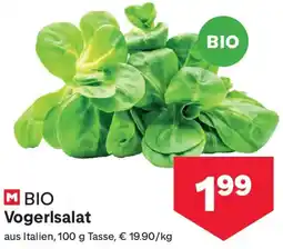 MPreis M Bio Vogerlsalat Angebot