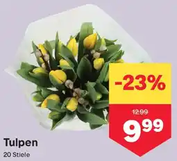 MPreis Tulpen Angebot