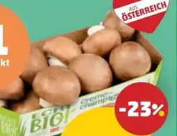 PENNY Echt Bio Creme-Champignons Angebot