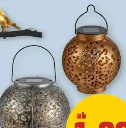 PENNY Solar-Leuchte Angebot