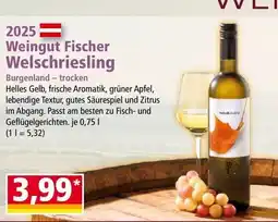 Norma 2025 weingut fischer welschriesling Angebot