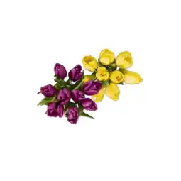 Lidl Tulpenstrauß einfärbig Lidl Angebot