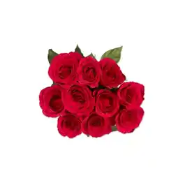 Lidl Fairtrade Rosen 10er Lidl Angebot