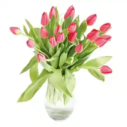 MPreis Tulpen MPREIS Angebot