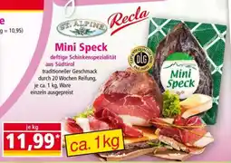 Norma Mini Speck Angebot