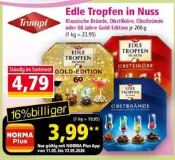 Norma Edle Tropfen in Nuss Angebot