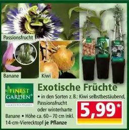 Norma Finest Garden Exotische Früchte Angebot