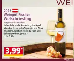 Norma Weingut Fischer Welschriesling Angebot