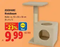 Lidl ZOOFARI Kratzbaum Angebot