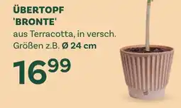 Bellaflora Übertopf 'bronte Angebot