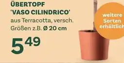 Bellaflora Übertopf vaso cilindrico Angebot