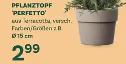 Bellaflora Pflanztopf perfetto Angebot