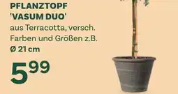 Bellaflora Pflanztopf vasum duo Angebot