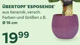 Bellaflora Übertopf esposende Angebot