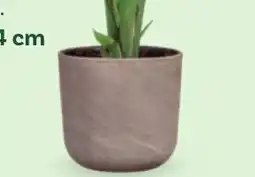 Bellaflora Übertopf travertino Angebot