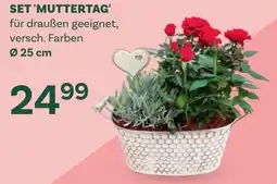 Bellaflora Set muttertag Angebot